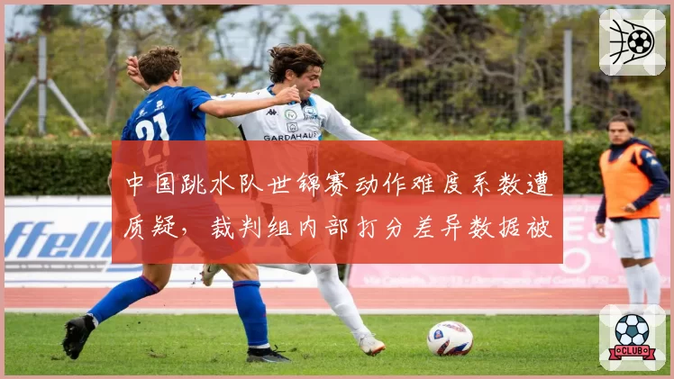 中国跳水队世锦赛动作难度系数遭质疑，裁判组内部打分差异数据被泄露